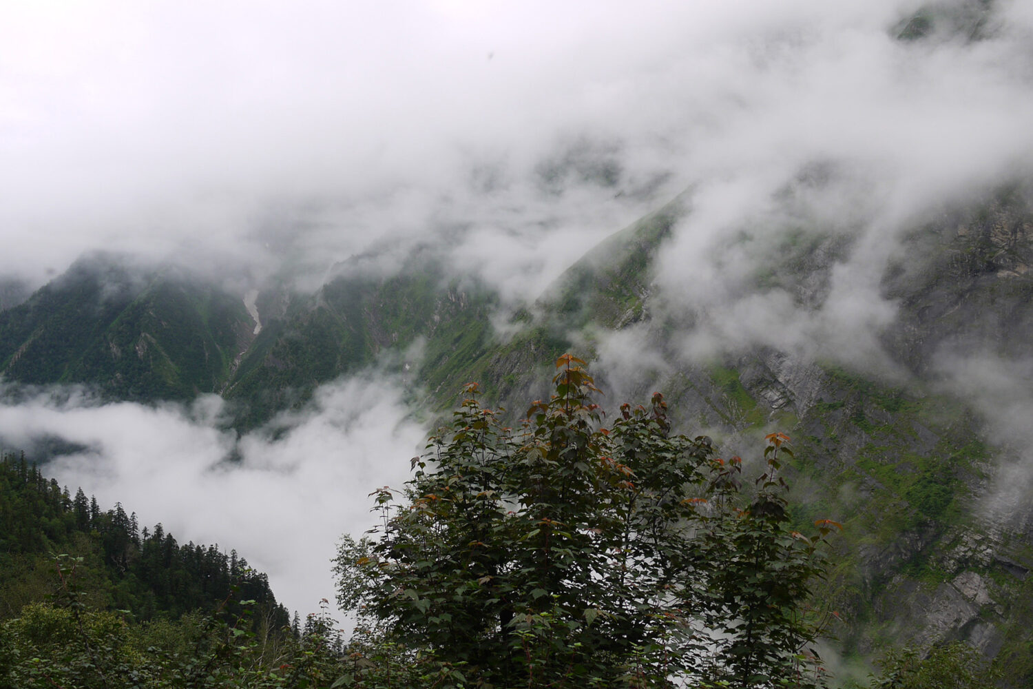 On the way to Hemkund Sahib